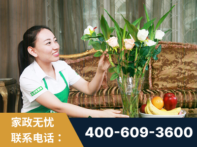 德州-住家保姆